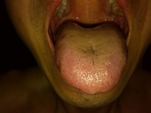 IMG_20130806_053923.jpg