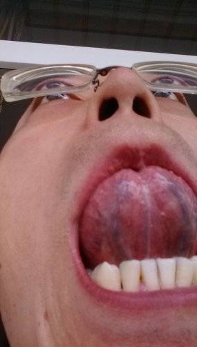 IMG_20130811_112505.jpg