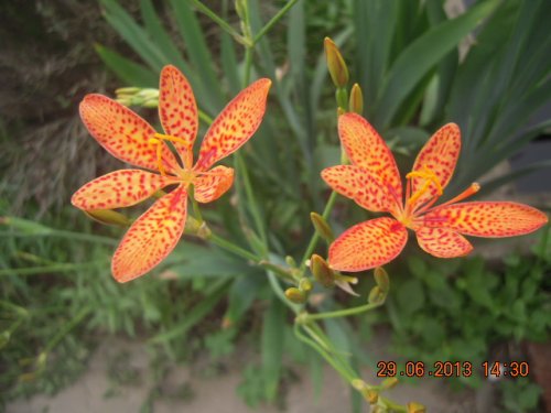 DSCN9866.JPG
