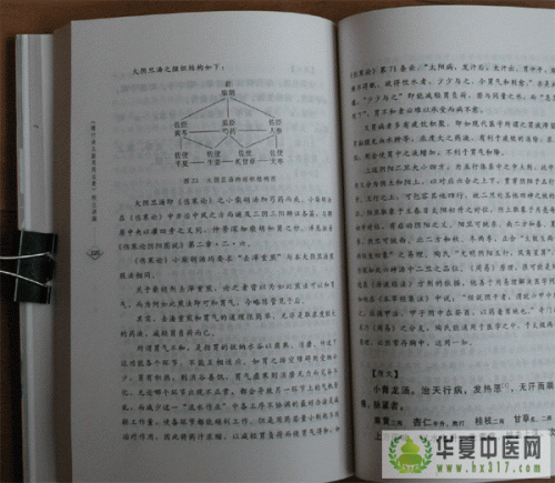 4.gif
