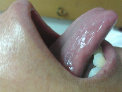 IMG_20130914_120833.jpg