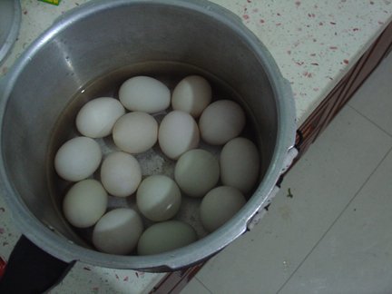 十五个鸭蛋.jpg