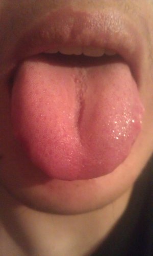 IMAG0060.jpg