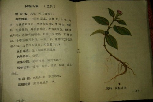 psb (1).jpg