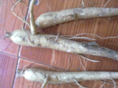 20100303314.jpg