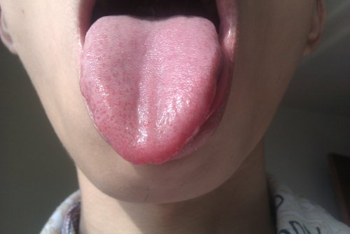 IMAG0117.jpg