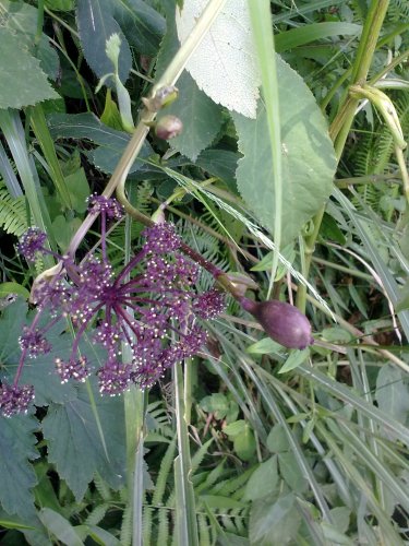 20130920160.jpg