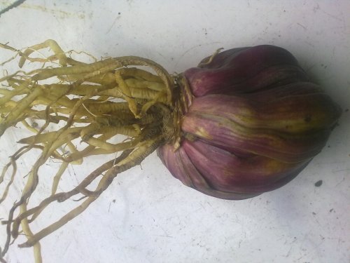 20131030338.jpg