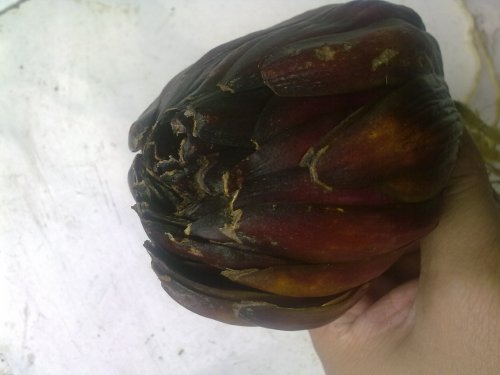 20131030339.jpg