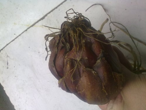 20131030340.jpg