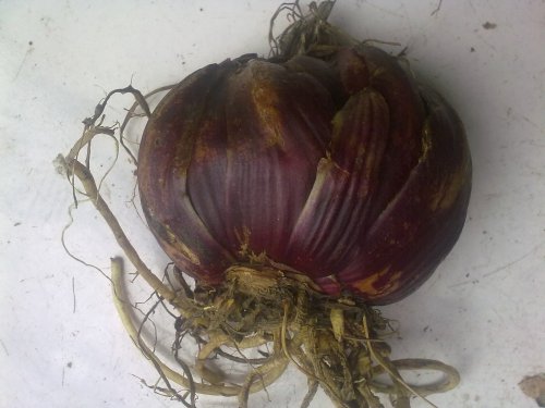 20131030341.jpg