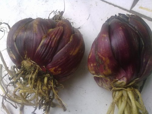 20131030342.jpg