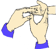 7.gif