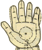 10.gif