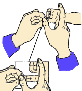 12.gif