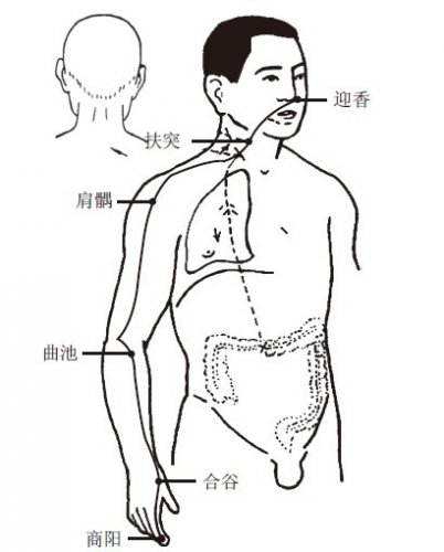大肠经.jpg