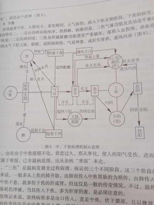 17546265140209137342073139671776.jpg