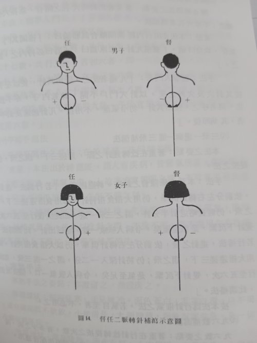 17561376877851794642311931365174.jpg
