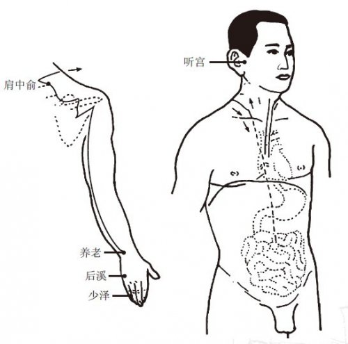 小肠经.jpg