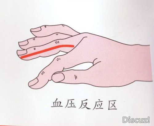 201004091710590001.jpg