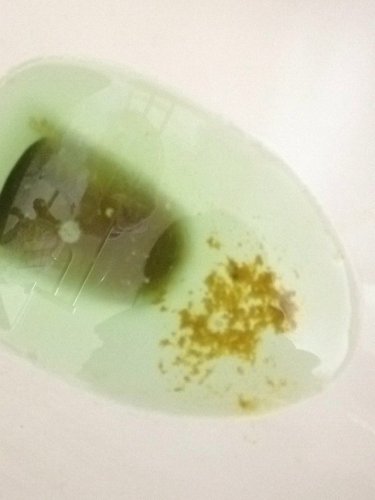 QQ图片20131218171748.jpg