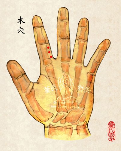 木穴.jpg