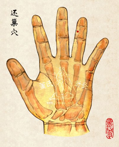 還巢穴.jpg