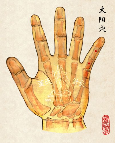 太阳穴.jpg