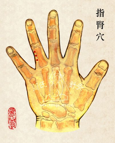 指腎穴.jpg