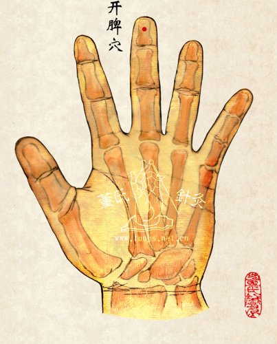 开脾穴.jpg