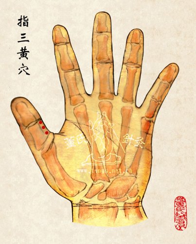 指三黄穴.jpg