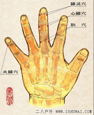 火膝穴.jpg
