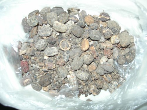 DSCN2688.JPG