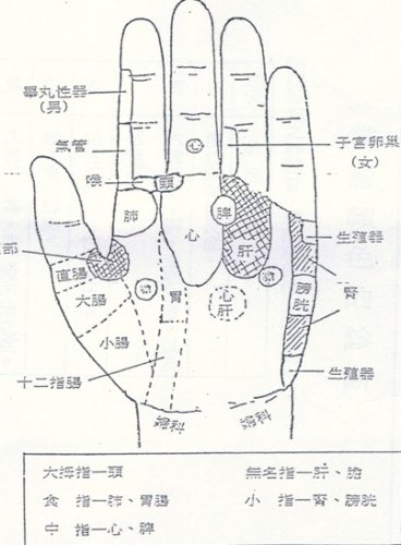 董氏特色掌诊图.jpg