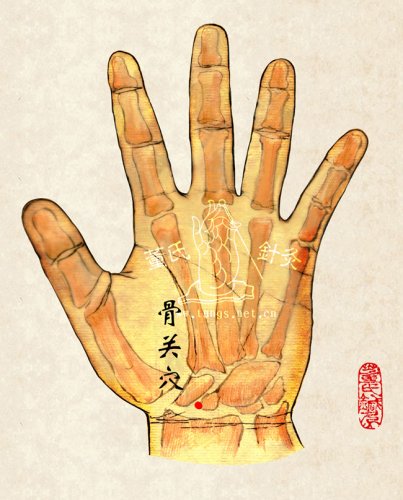 骨关穴.jpg