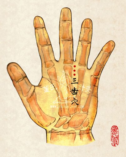 三齿穴.jpg