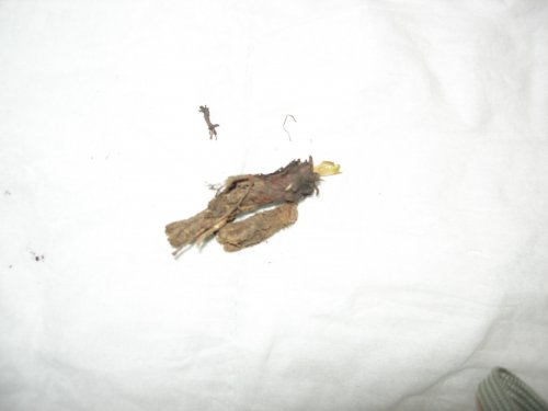 DSCN2692.JPG