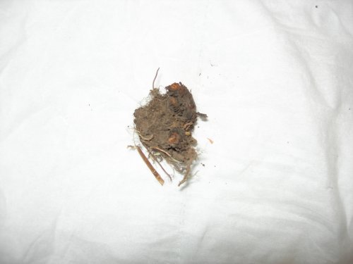 DSCN2693.JPG