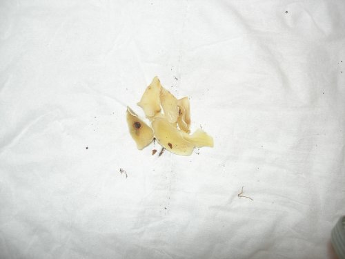 DSCN2695.JPG
