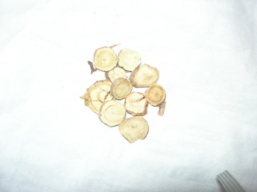 DSCN2697.JPG