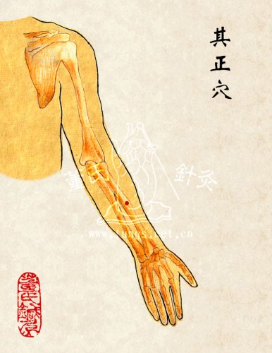 其正穴.jpg