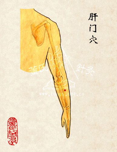 肝门穴.jpg
