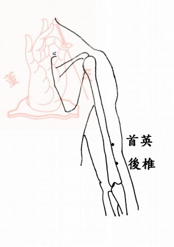 後椎穴.jpg