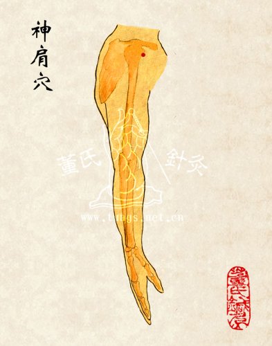 神肩穴.jpg