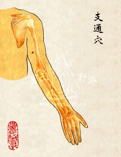 支通穴.jpg