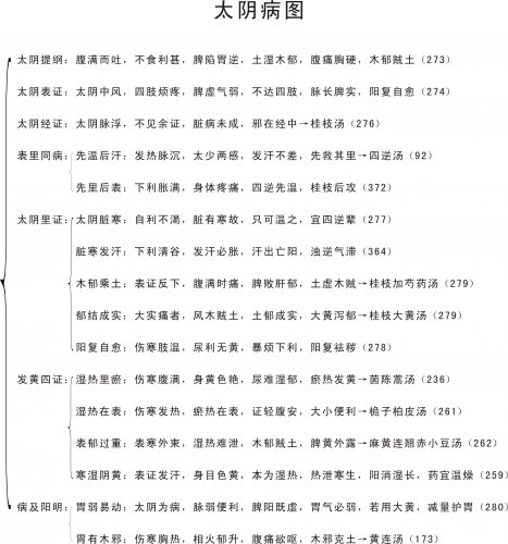 太阴病图.jpg