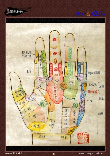董氏掌诊图.jpg
