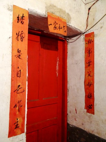 DSC05321_conew1.jpg