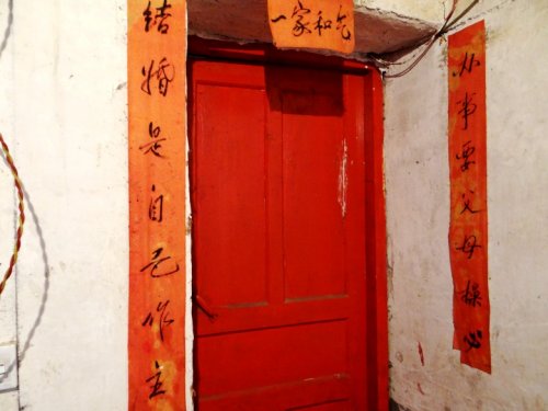 DSC05322_conew1.jpg