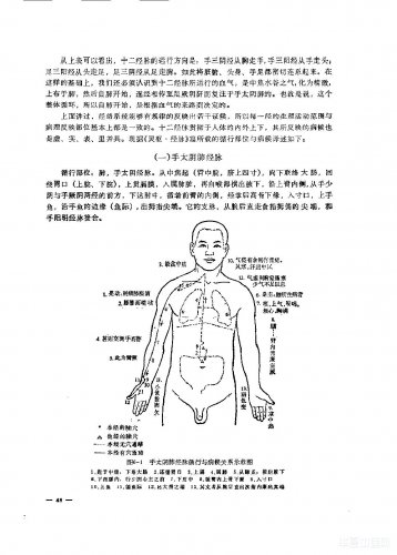 十二经脉2.jpg